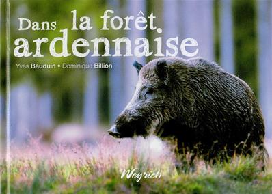 Dans la forêt ardennaise, Yves Bauduin,Dominique Billion